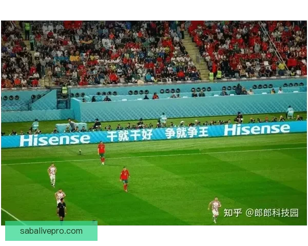 沉浸式世界杯竞猜互动体验全流程解析与策略指南畅玩足球盛宴